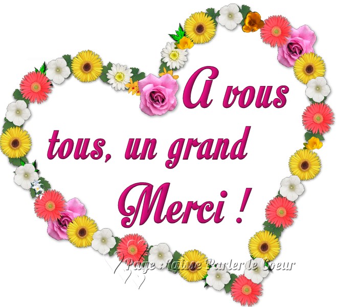 merci 012